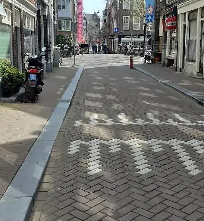 Guest house Iru, Not For Parties, Not A Hotel, With No Kitchen Amsterdam